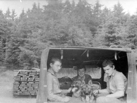 Foto 11